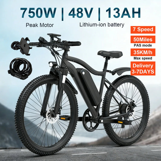 Toofly Electric Mountain Ebike 48V 500W Battery 13Ah